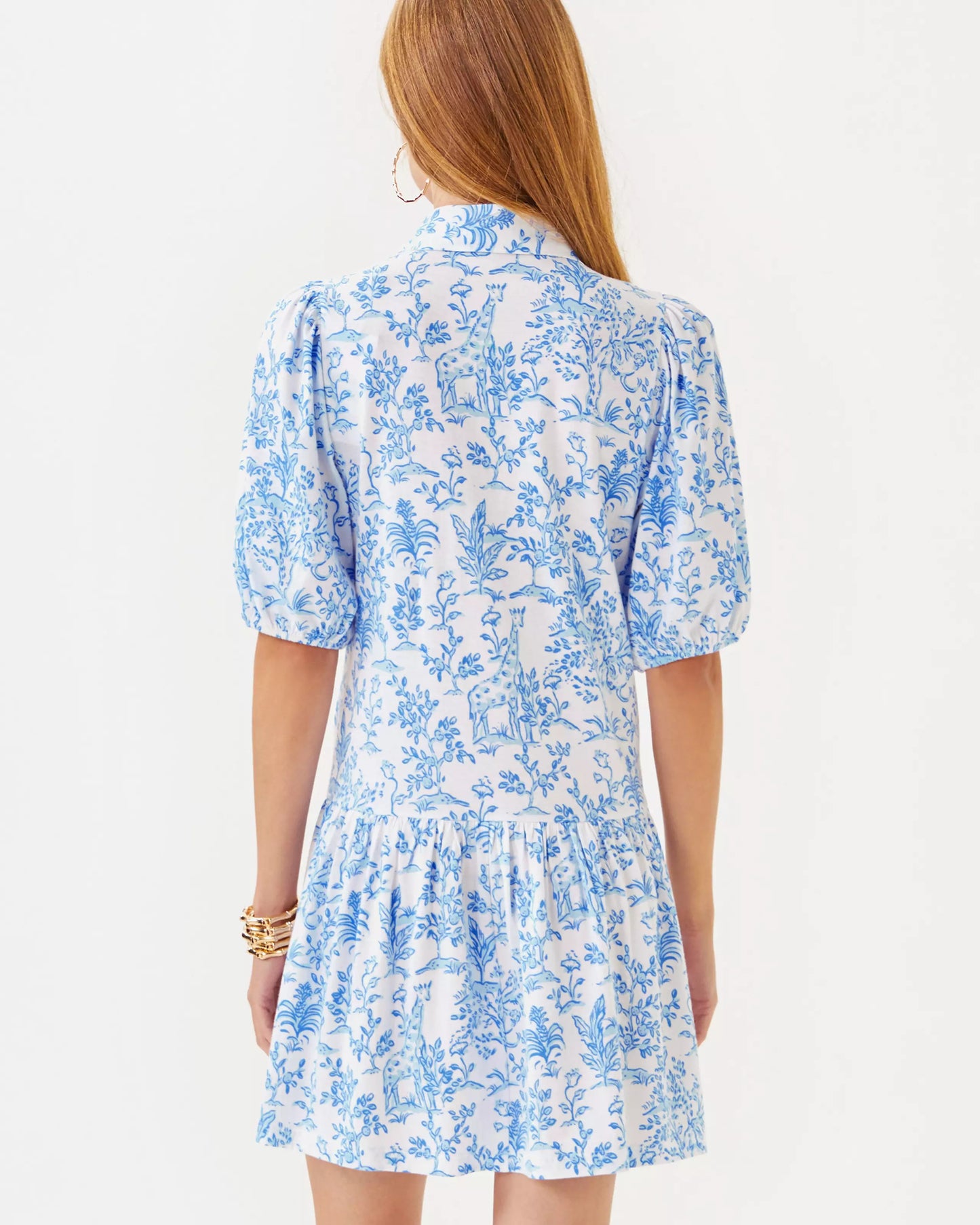 BINGLEY DRESS.