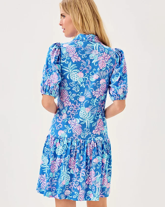 BINGLEY DRESS
