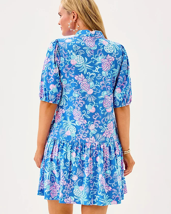 BINGLEY DRESS