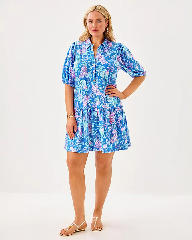 BINGLEY DRESS
